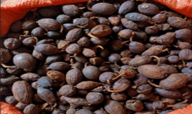 منتج